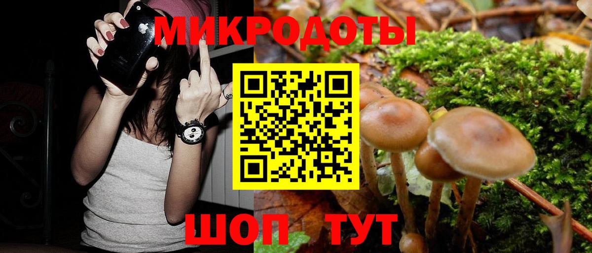 Псилоцибиновые грибы Psilocybe  продажа наркотиков  Тверь  Вход с VPN  Псилоцибиновые грибы Magic Shrooms 