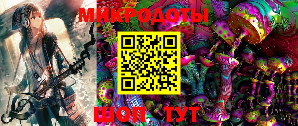 Псилоцибиновые грибы Psilocybe Тверь